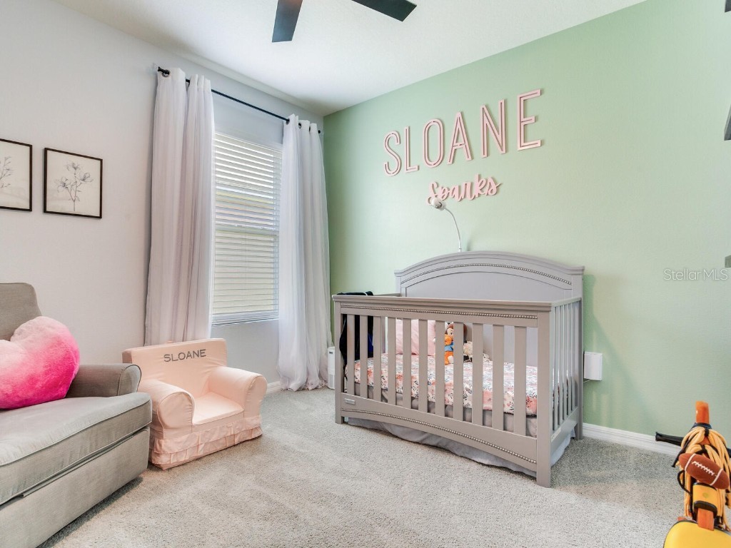 5539 Wandering Willow Drive Wesley Chapel FL 33545 TB8421259 image11