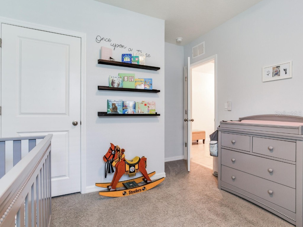 5539 Wandering Willow Drive Wesley Chapel FL 33545 TB8421259 image12