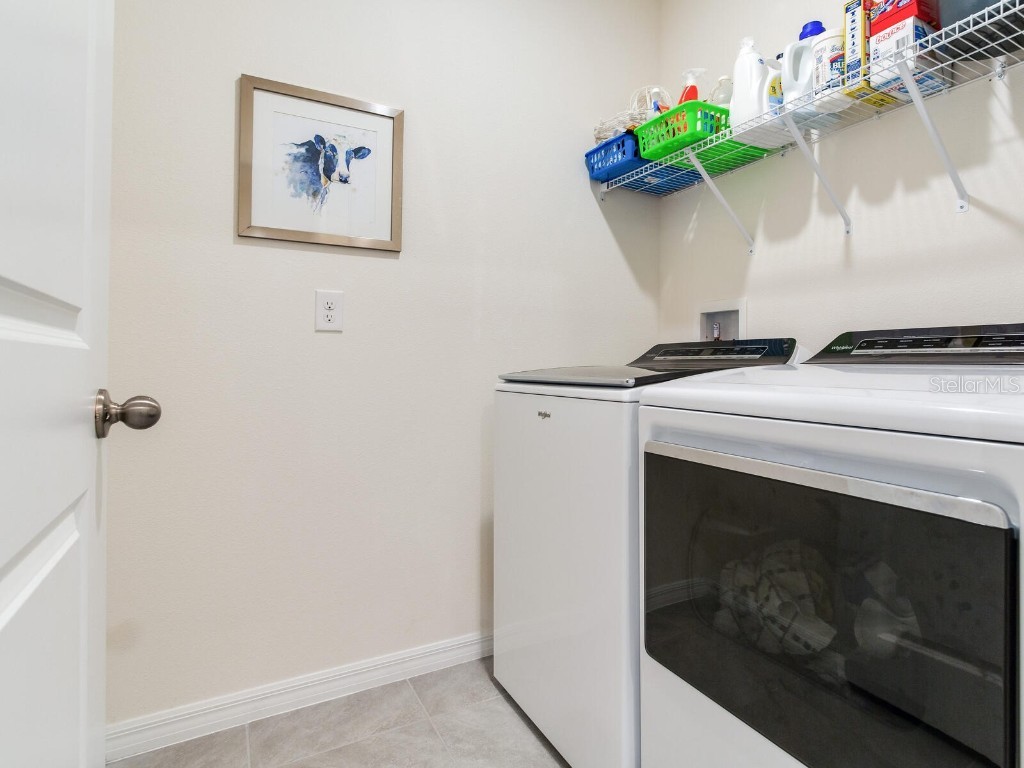 5539 Wandering Willow Drive Wesley Chapel FL 33545 TB8421259 image14