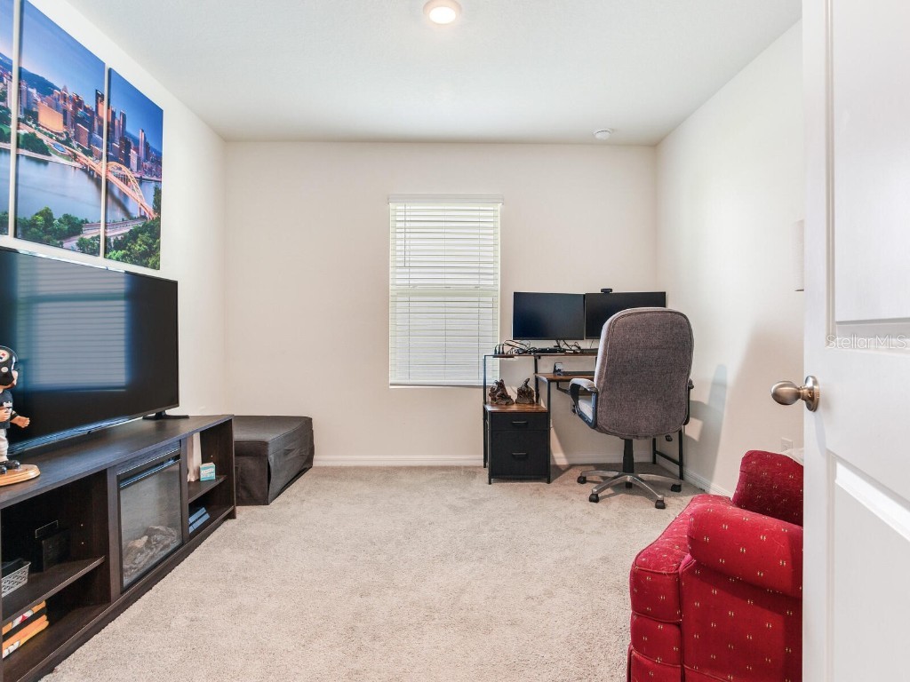 5539 Wandering Willow Drive Wesley Chapel FL 33545 TB8421259 image15