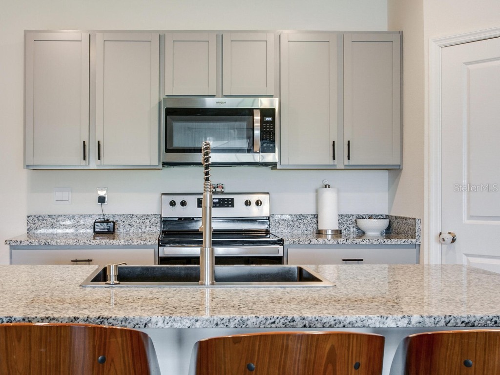 5539 Wandering Willow Drive Wesley Chapel FL 33545 TB8421259 image22