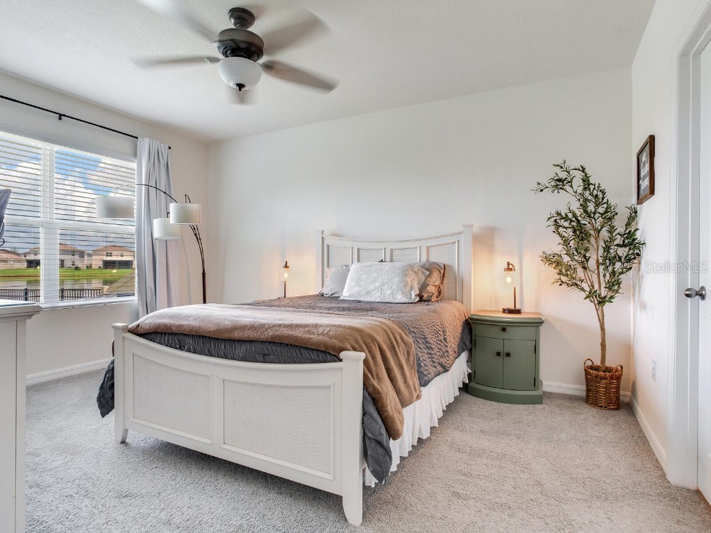 5539 Wandering Willow Drive Wesley Chapel FL 33545 TB8421259 image32