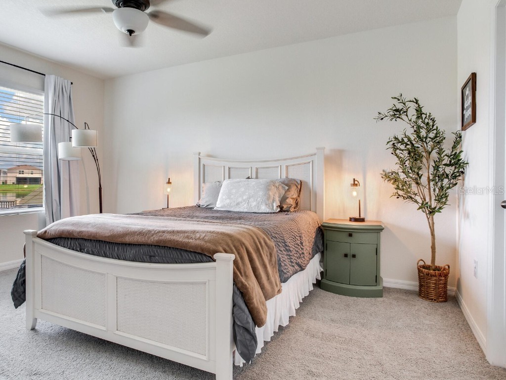 5539 Wandering Willow Drive Wesley Chapel FL 33545 TB8421259 image33