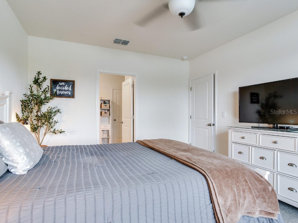 5539 Wandering Willow Drive Wesley Chapel FL 33545 TB8421259 image34