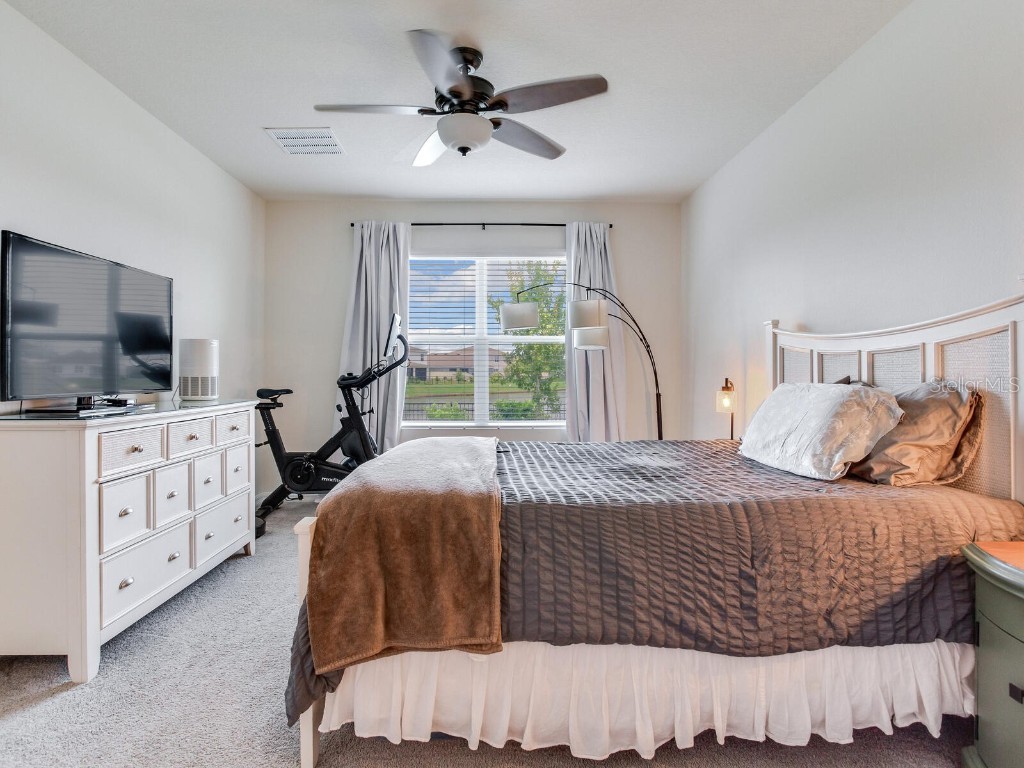 5539 Wandering Willow Drive Wesley Chapel FL 33545 TB8421259 image35