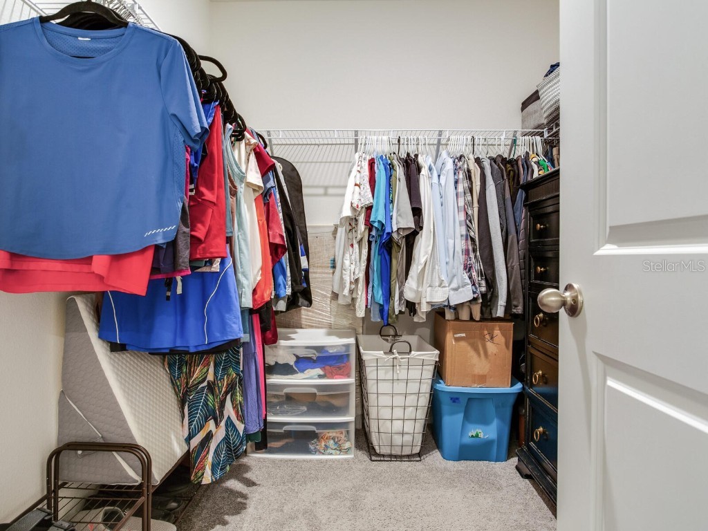 5539 Wandering Willow Drive Wesley Chapel FL 33545 TB8421259 image38