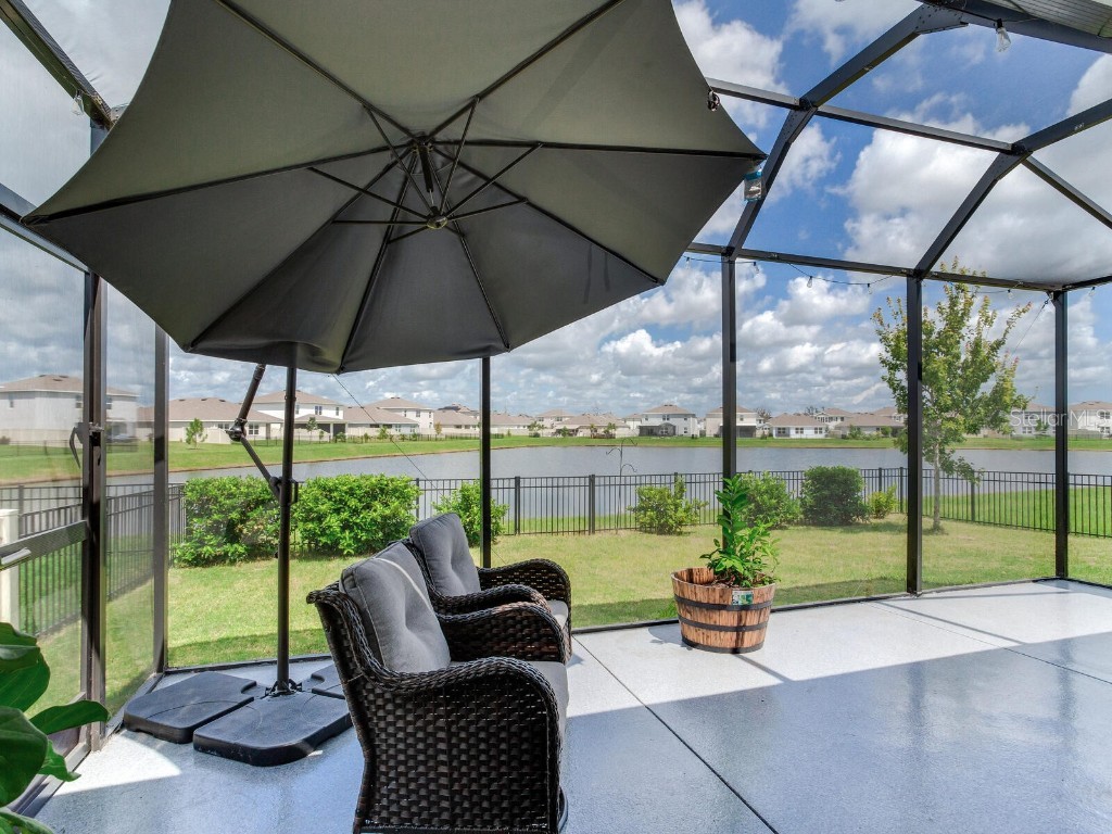 5539 Wandering Willow Drive Wesley Chapel FL 33545 TB8421259 image40