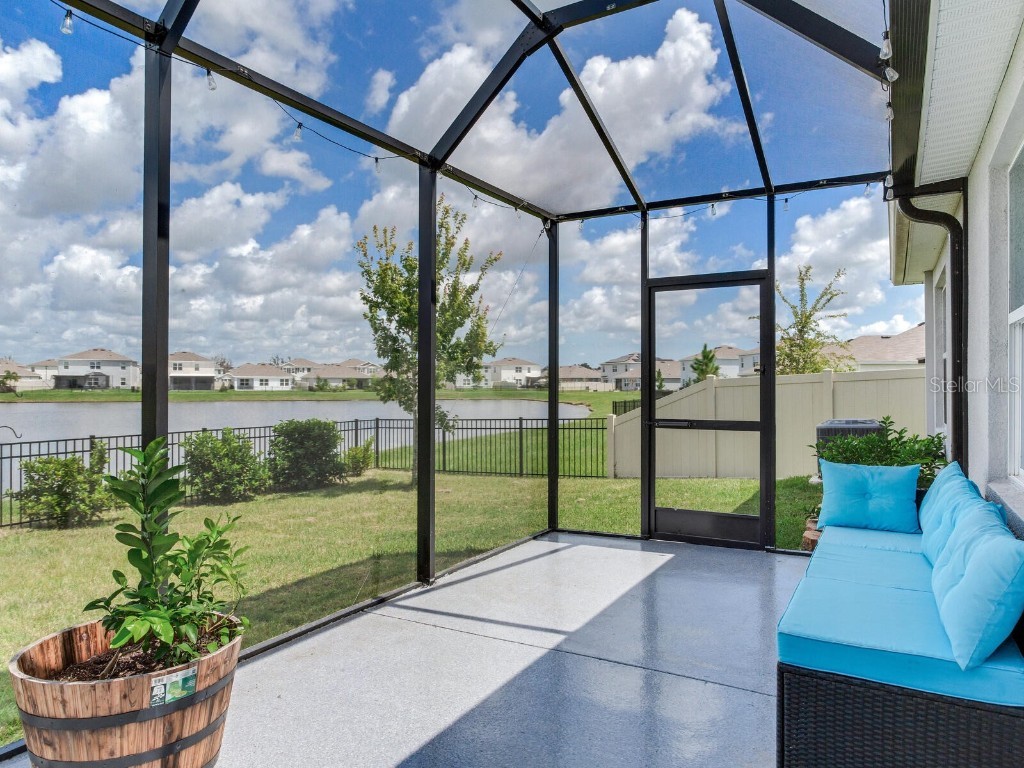 5539 Wandering Willow Drive Wesley Chapel FL 33545 TB8421259 image41