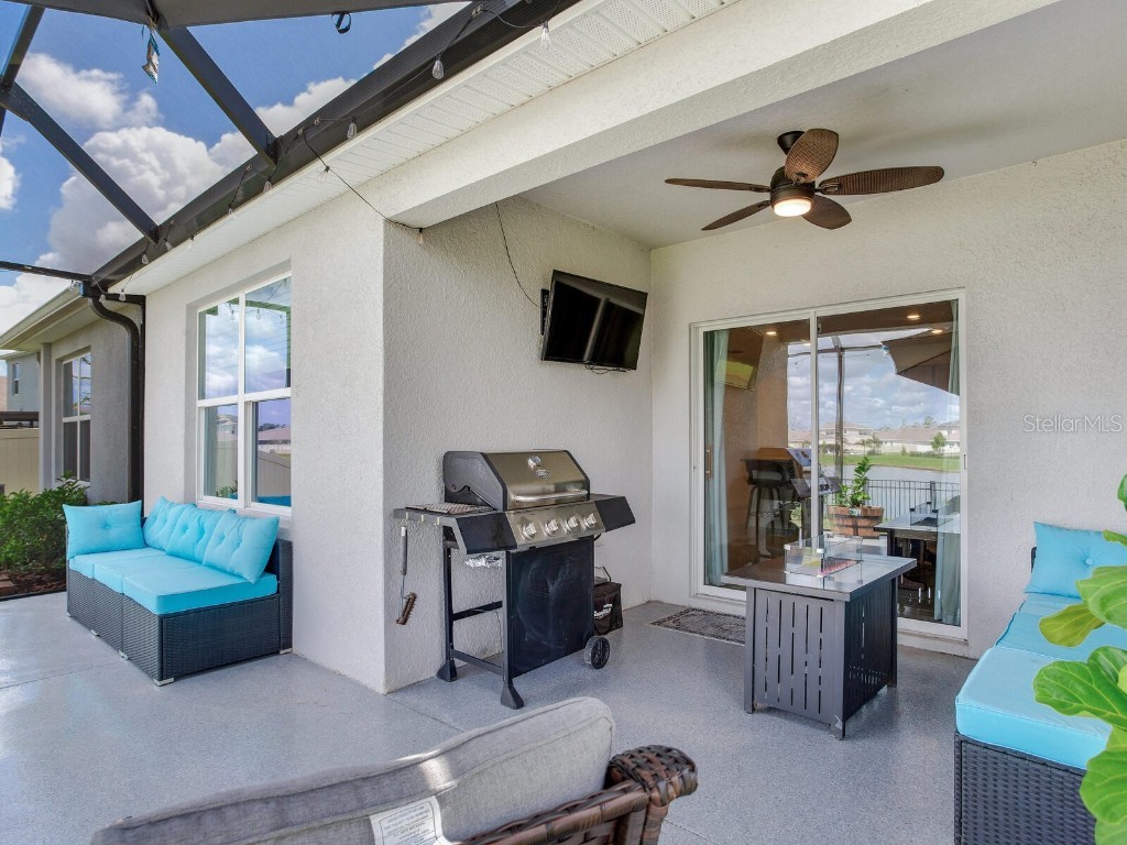 5539 Wandering Willow Drive Wesley Chapel FL 33545 TB8421259 image43