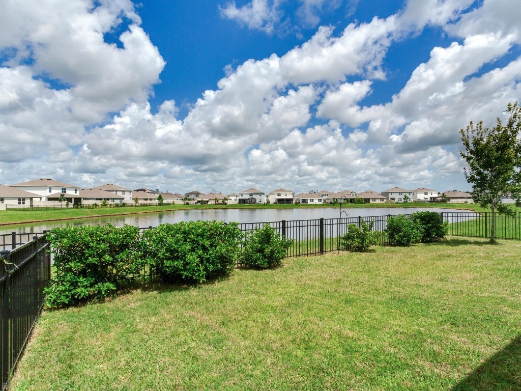 5539 Wandering Willow Drive Wesley Chapel FL 33545 TB8421259 image48