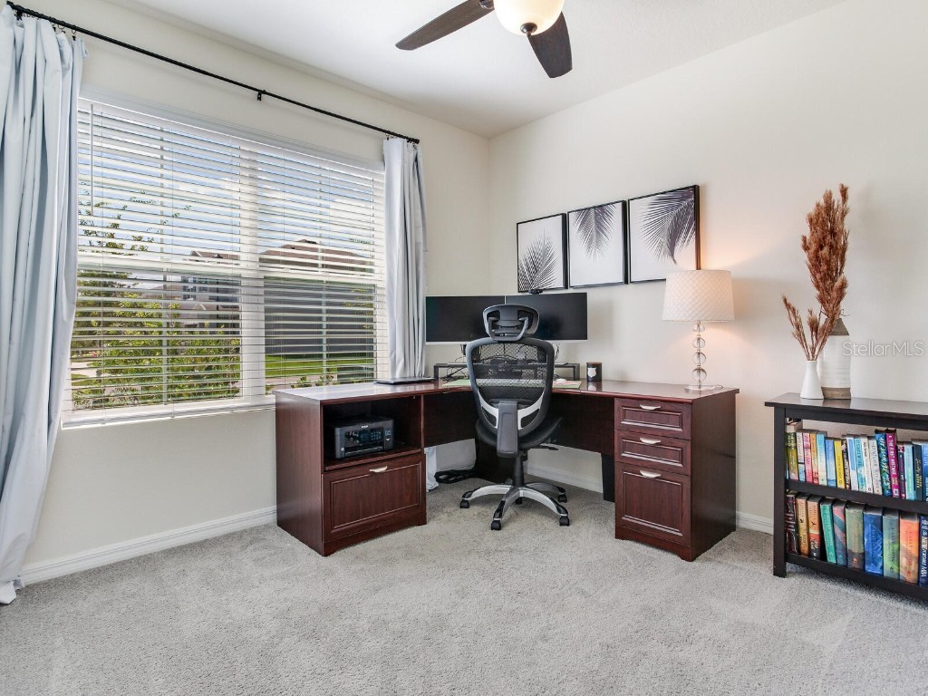 5539 Wandering Willow Drive Wesley Chapel FL 33545 TB8421259 image8