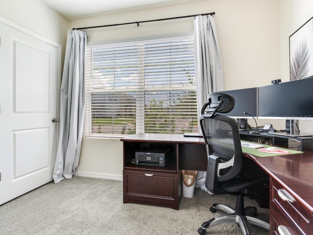 5539 Wandering Willow Drive Wesley Chapel FL 33545 TB8421259 image9