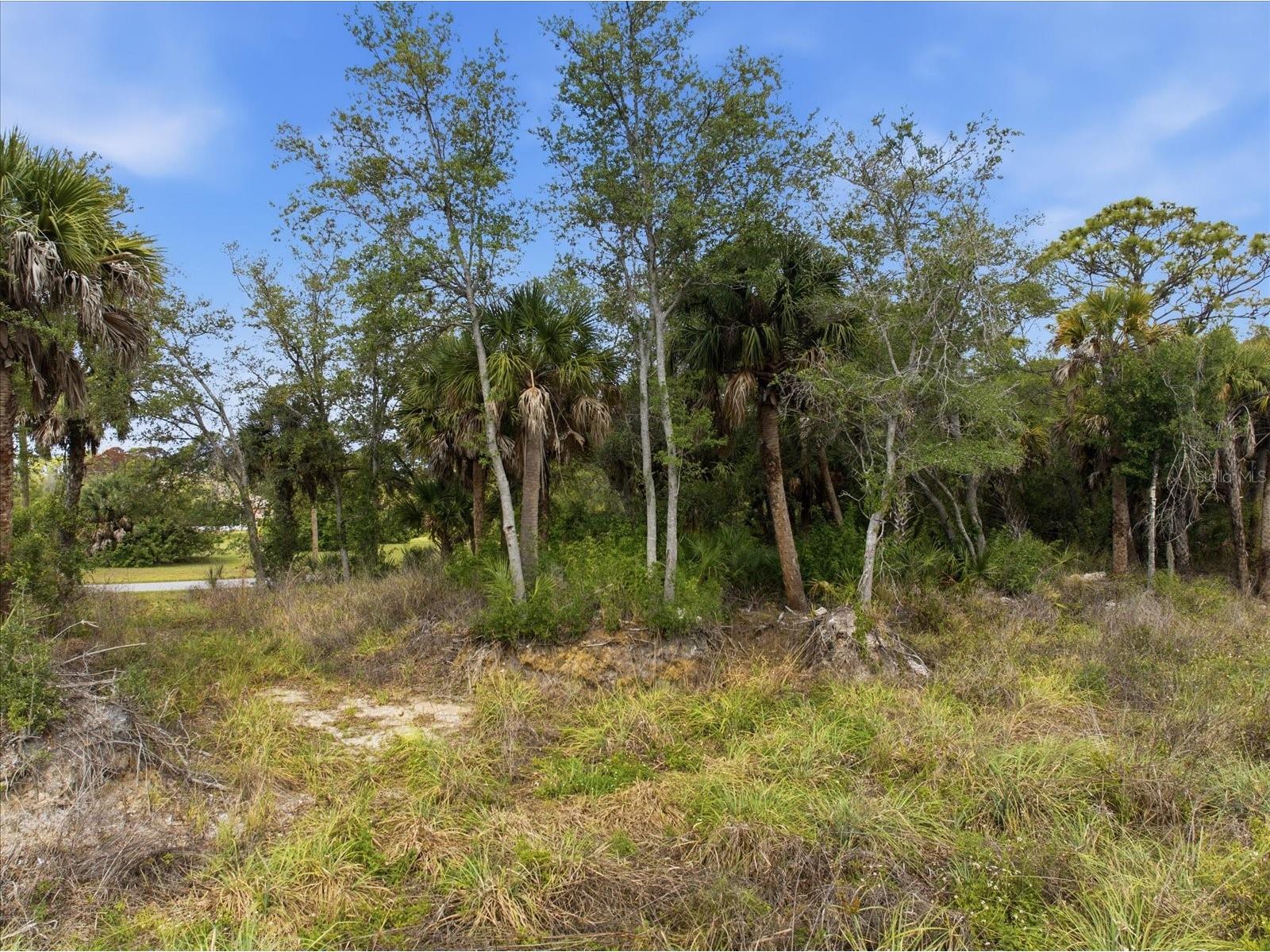 554 Mcdill Drive Port Charlotte FL 33953 - MARKHAM WATERWAY A4692321 image11