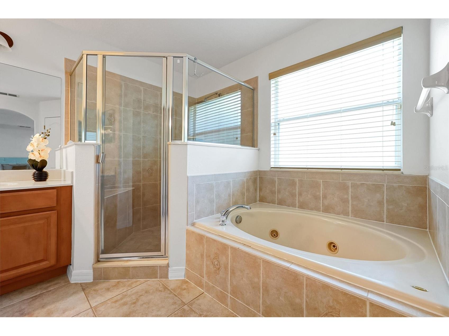 554 Palio Court Ocoee FL 34761 O6424453 image23