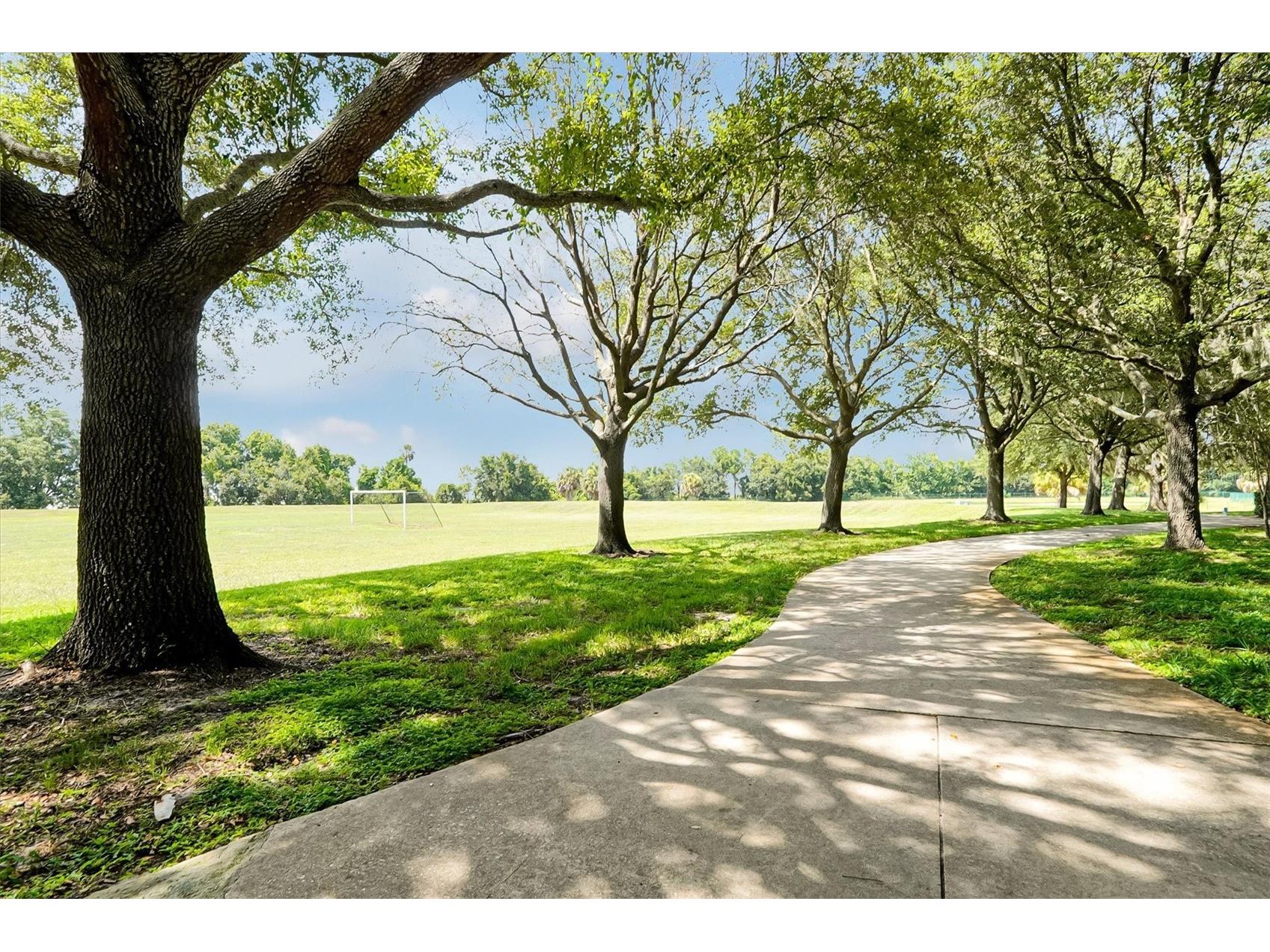 554 Palio Court Ocoee FL 34761 O6424453 image63
