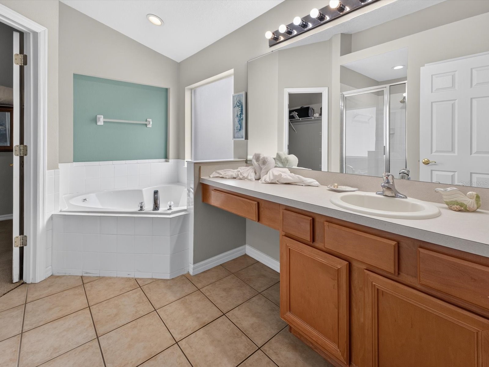 554 Paloma Drive Davenport FL 33837 O6422929 image18