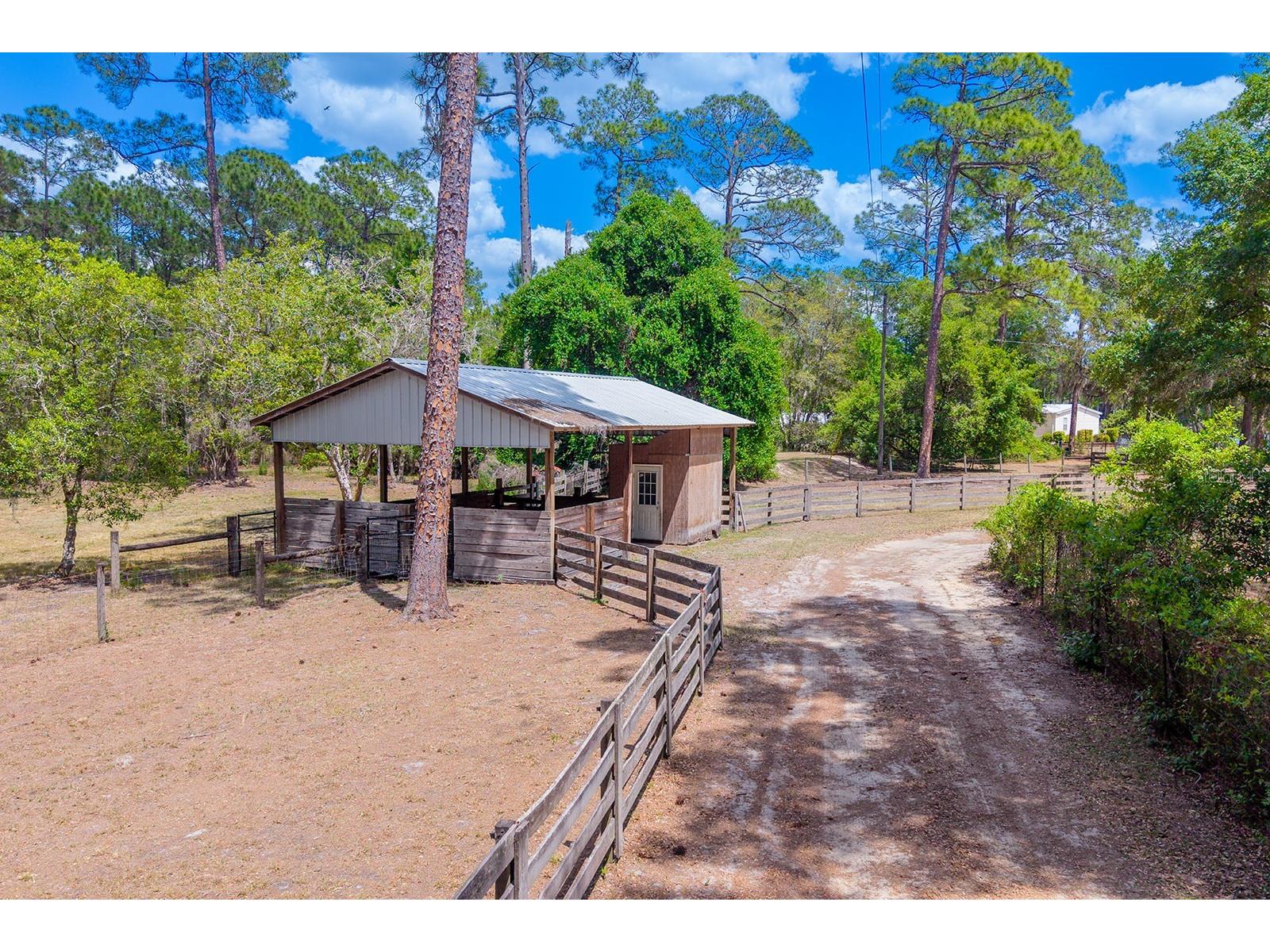 554 S County Road 21 Hawthorne FL 32640 - LAKE HIGGINBOTHAM GC539829 image50
