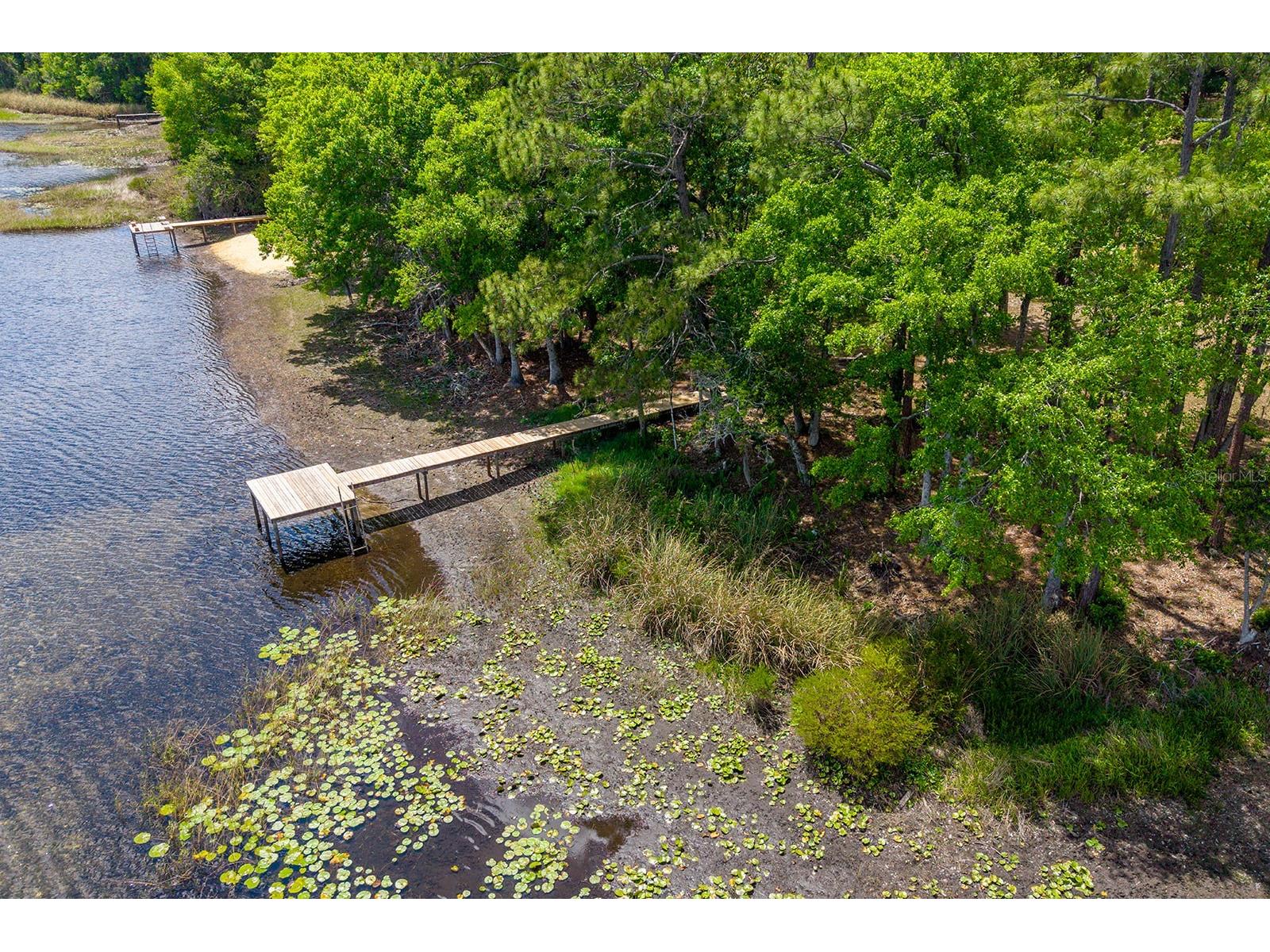 554 S County Road 21 Hawthorne FL 32640 - LAKE HIGGINBOTHAM GC539829 image63