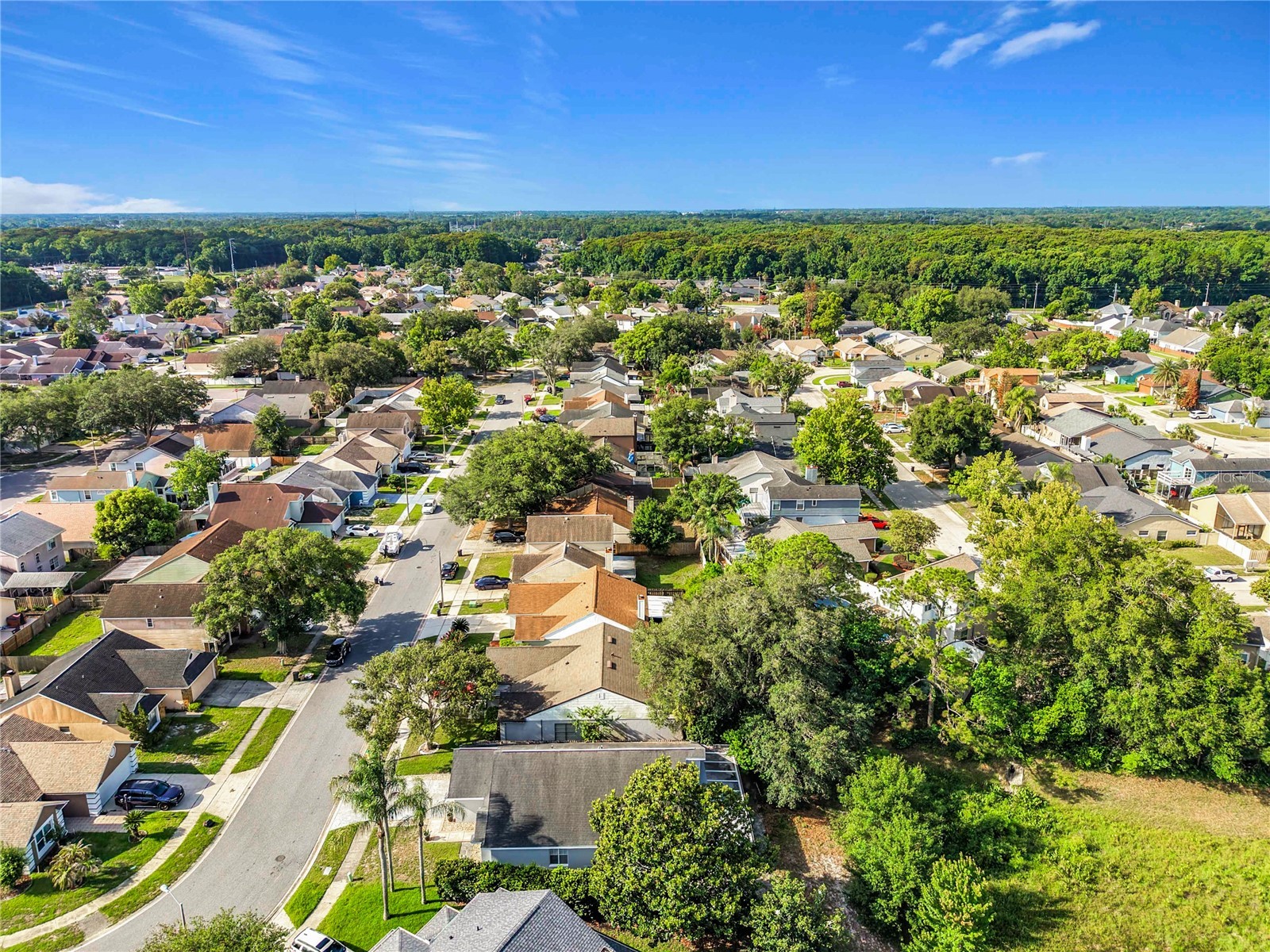 554 Whittingham Place Lake Mary FL 32746 O6408318 image38