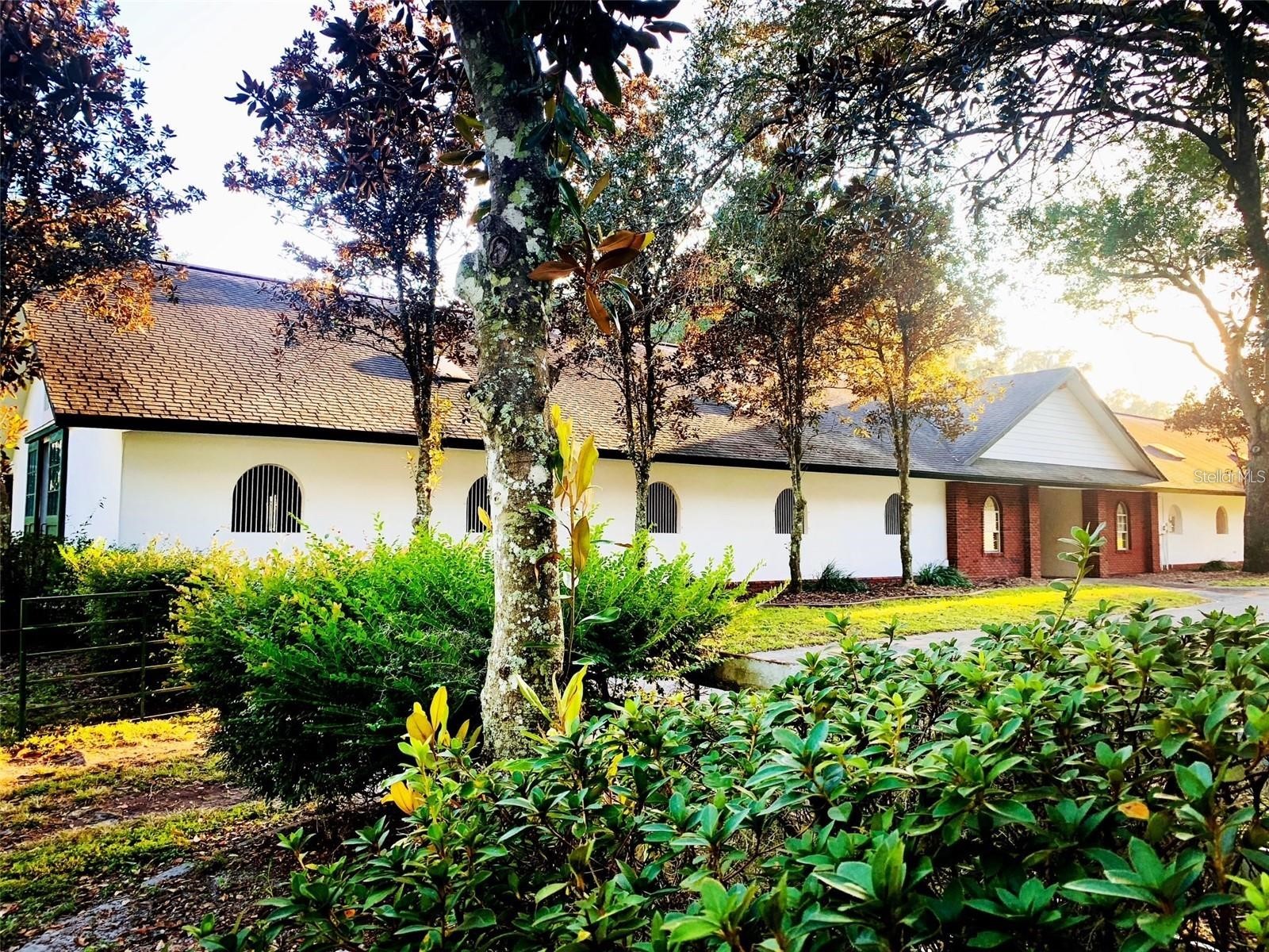 5540 SE 157th Street Road #(OPTION 1) Summerfield FL 34491 OM710941 image1