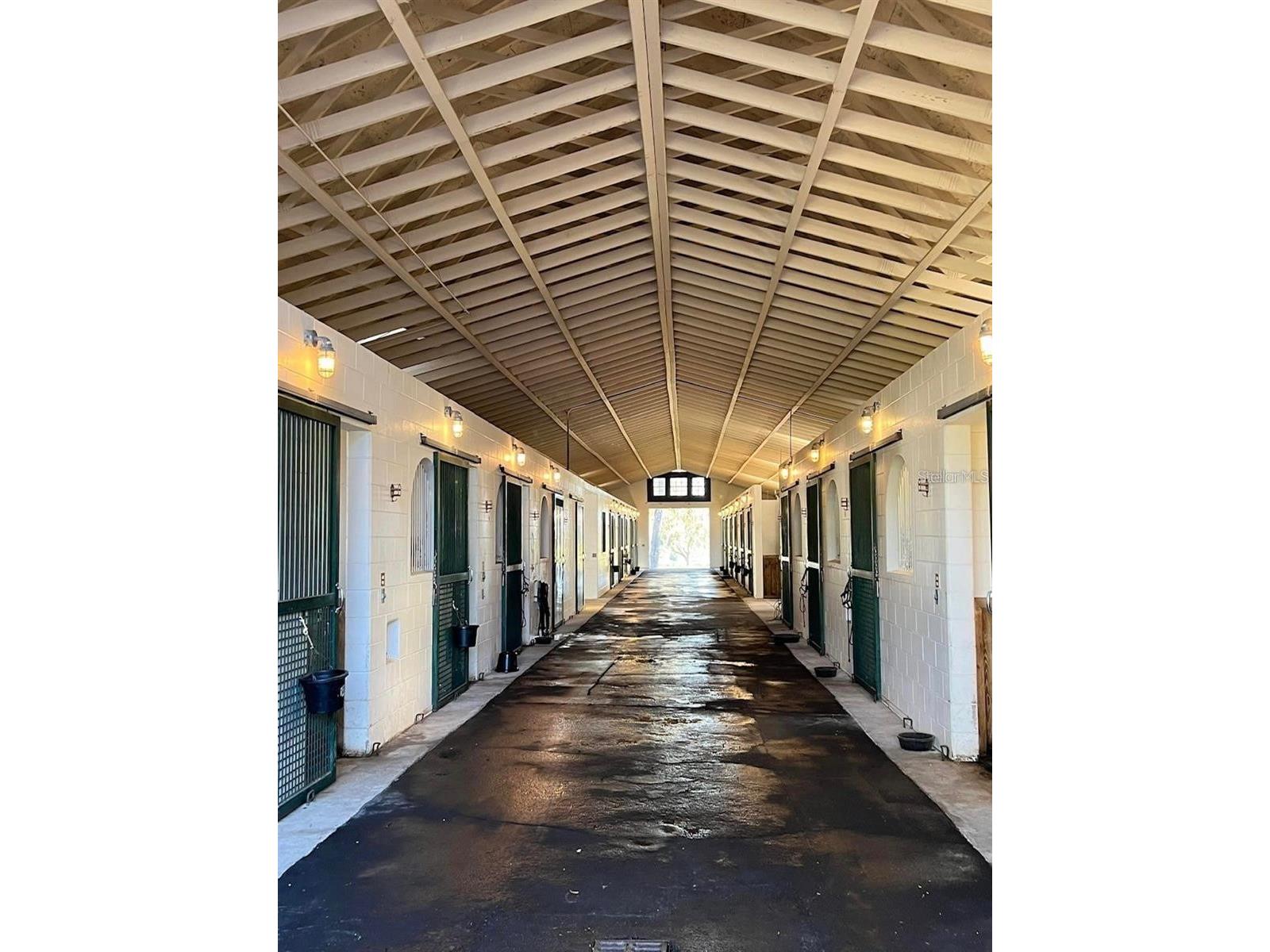 5540 SE 157th Street Road #(OPTION 1) Summerfield FL 34491 OM710941 image2