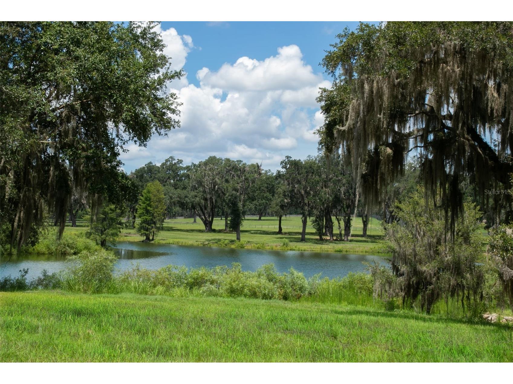 5540 Se 157th Street Road Summerfield FL 34491 OM704718 image12