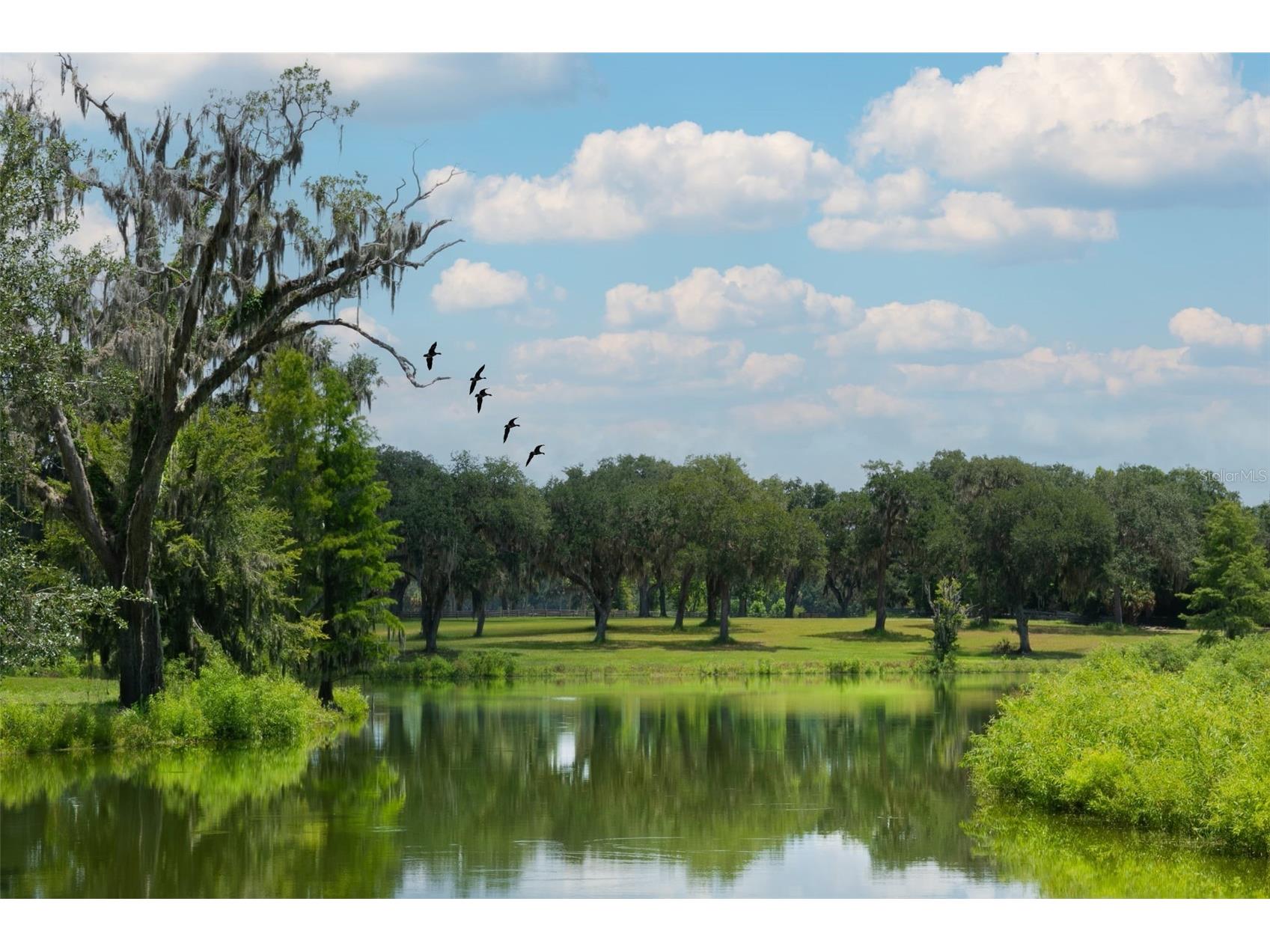 5540 Se 157th Street Road Summerfield FL 34491 OM704718 image13