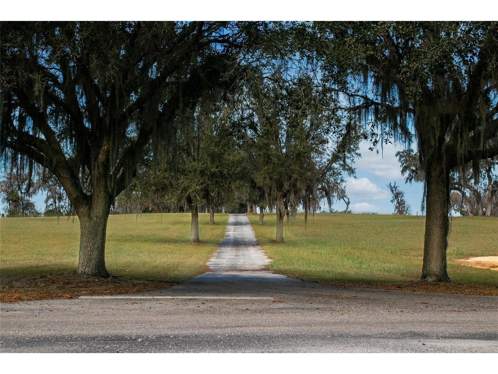 5540 Se 157th Street Road Summerfield FL 34491 OM704718 image14