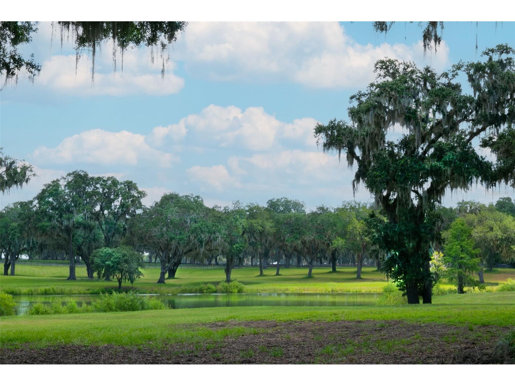 5540 Se 157th Street Road Summerfield FL 34491 OM704718 image17