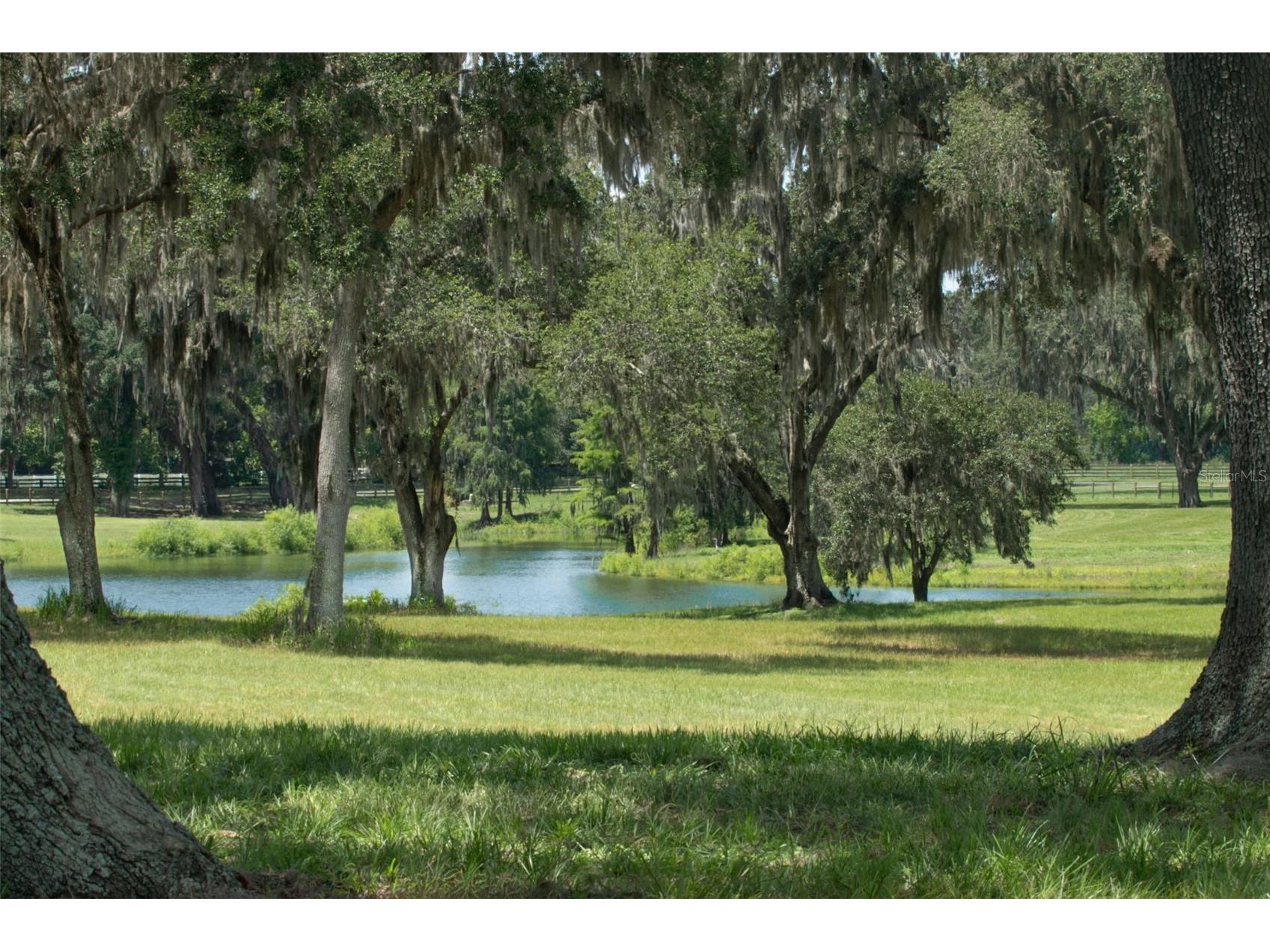 5540 Se 157th Street Road Summerfield FL 34491 OM704718 image18