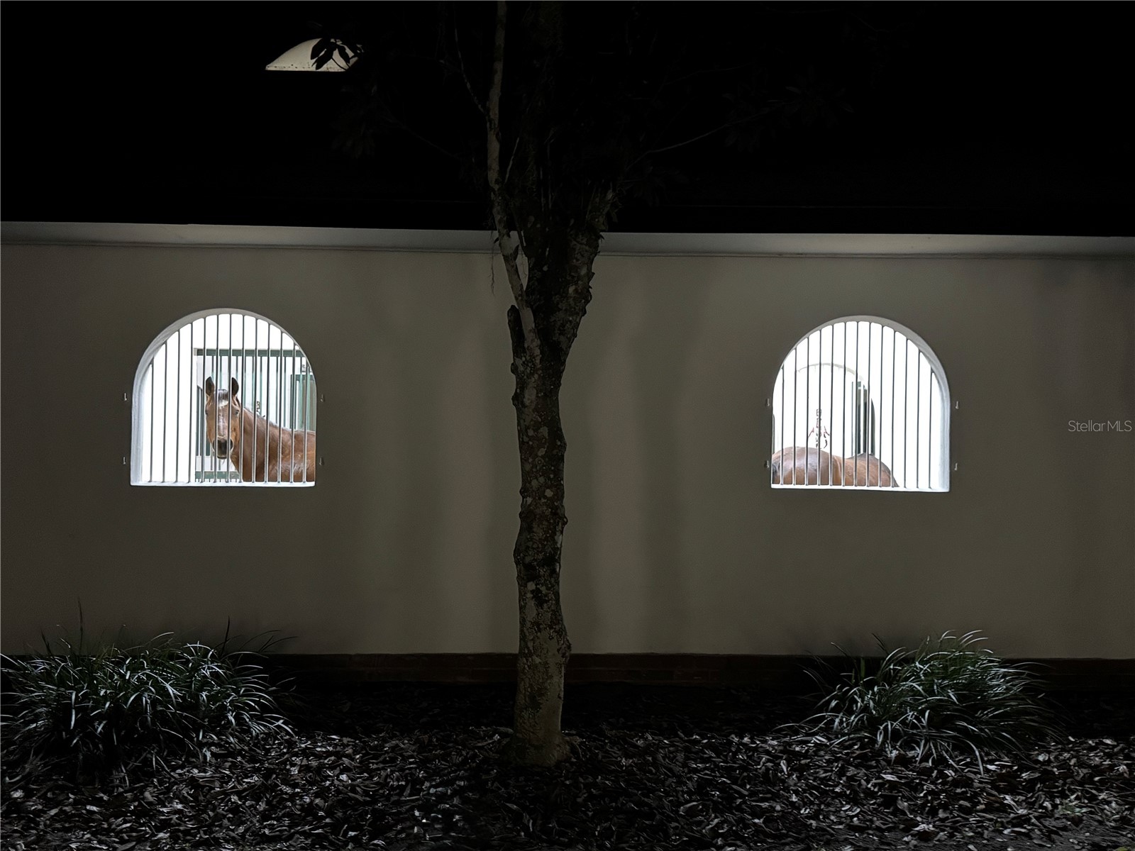 5540 Se 157th Street Road Summerfield FL 34491 OM704718 image2