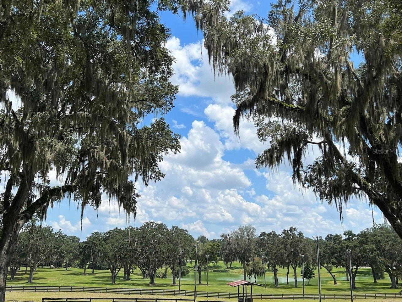 5540 Se 157th Street Road Summerfield FL 34491 OM704718 image21