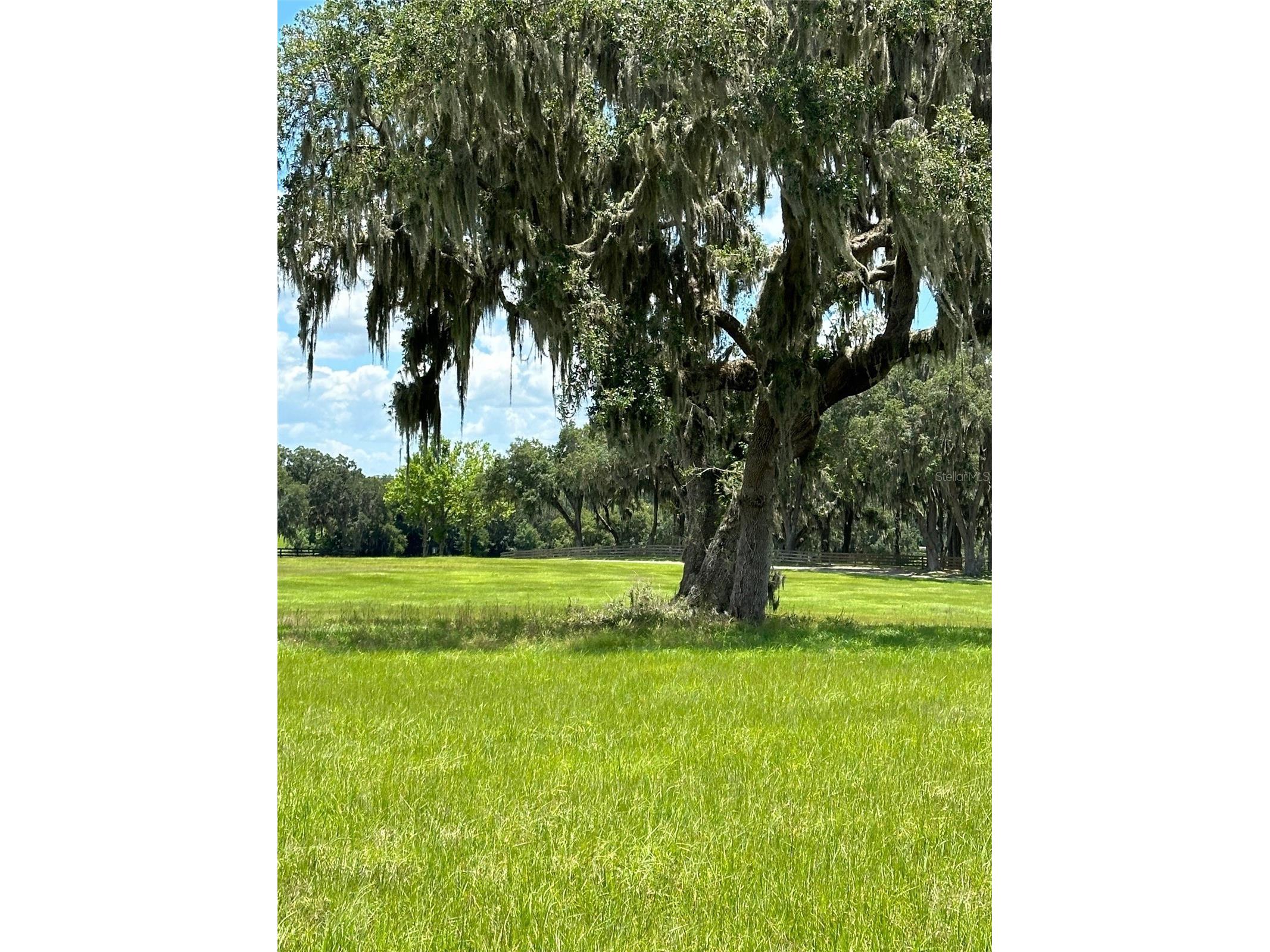 5540 Se 157th Street Road Summerfield FL 34491 OM704718 image25