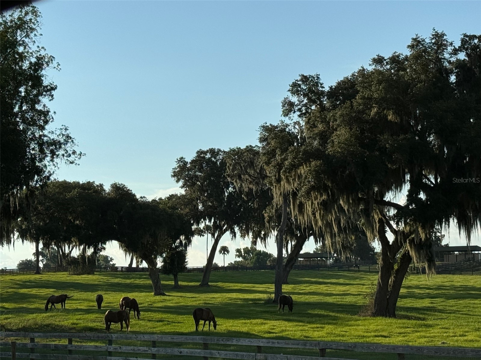 5540 Se 157th Street Road Summerfield FL 34491 OM704718 image26