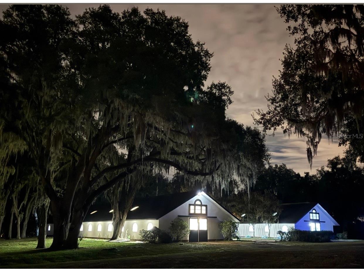 5540 Se 157th Street Road Summerfield FL 34491 OM704718 image4