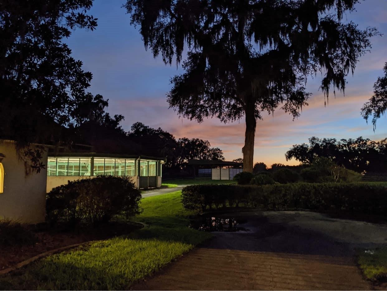 5540 Se 157th Street Road Summerfield FL 34491 OM704718 image6