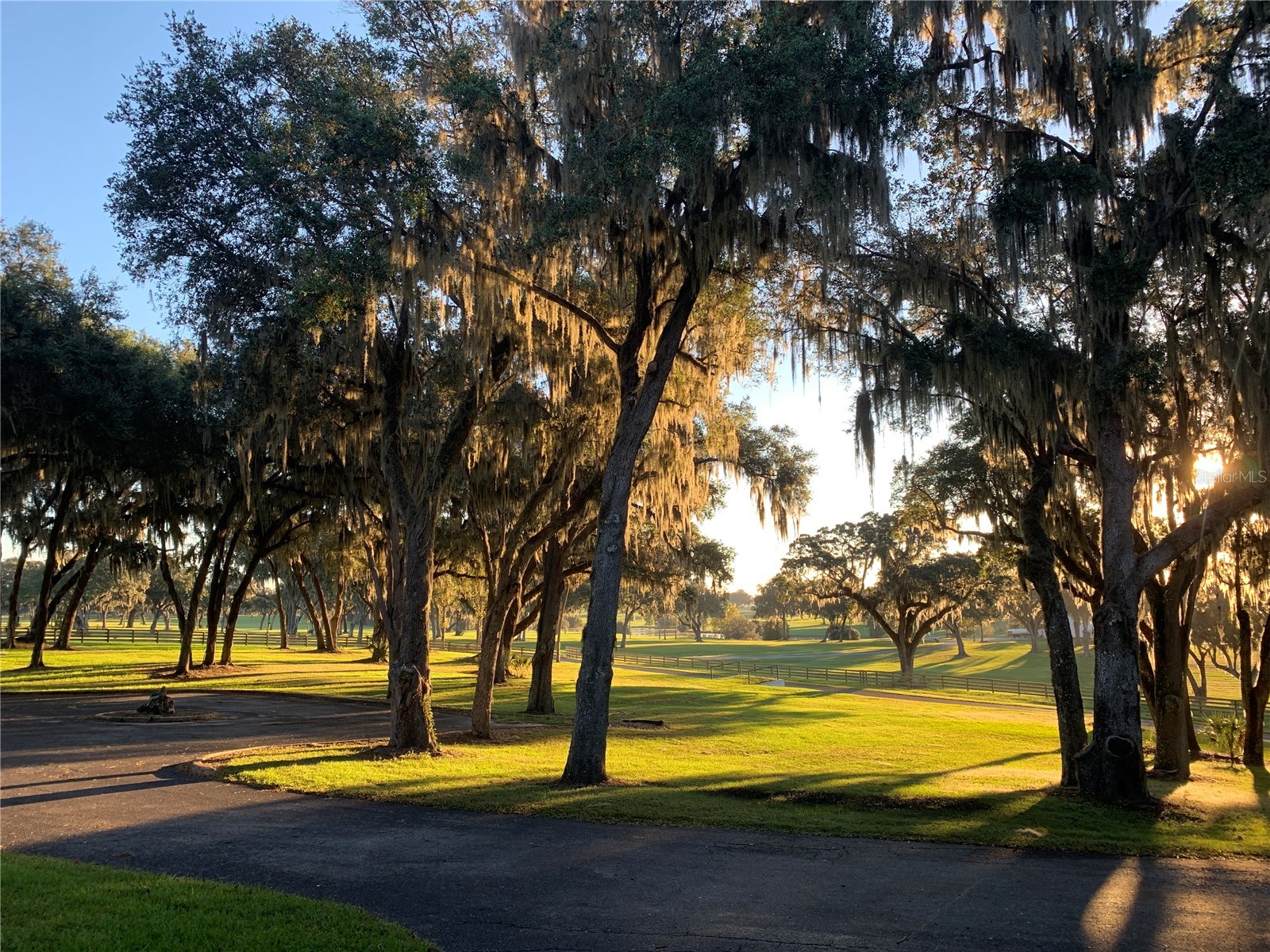 5540 Se 157th Street Road Summerfield FL 34491 OM704718 image7