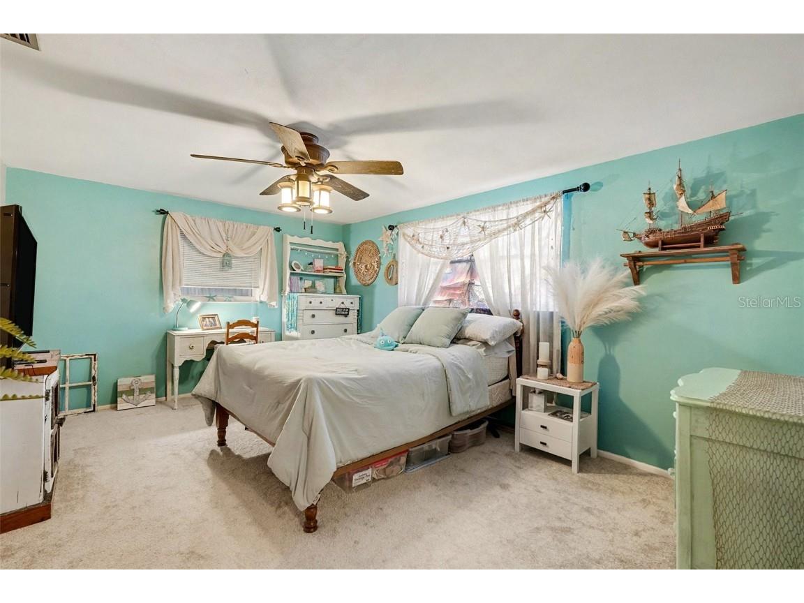 5541 Andrea Drive Holiday FL 34690 TB8457452 image18