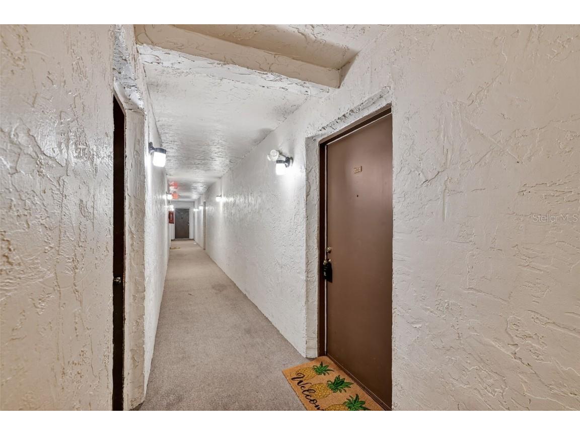 5541 Bay Boulevard #203 Port Richey FL 34668 TB8430999 image3