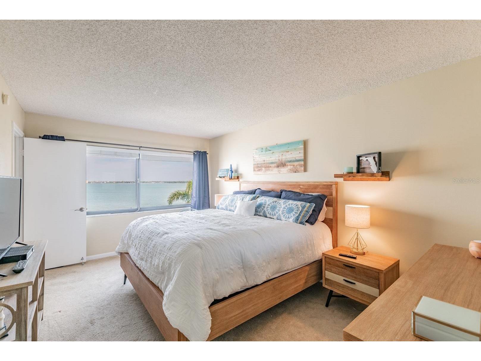 5541 Puerta Del Sol Boulevard S #316 Saint Petersburg FL 33715 TB8473723 image23