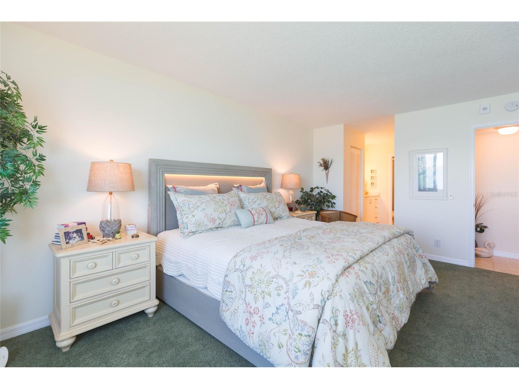 5541 Puerta Del Sol Boulevard S #318 Saint Petersburg FL 33715 TB8482931 image27
