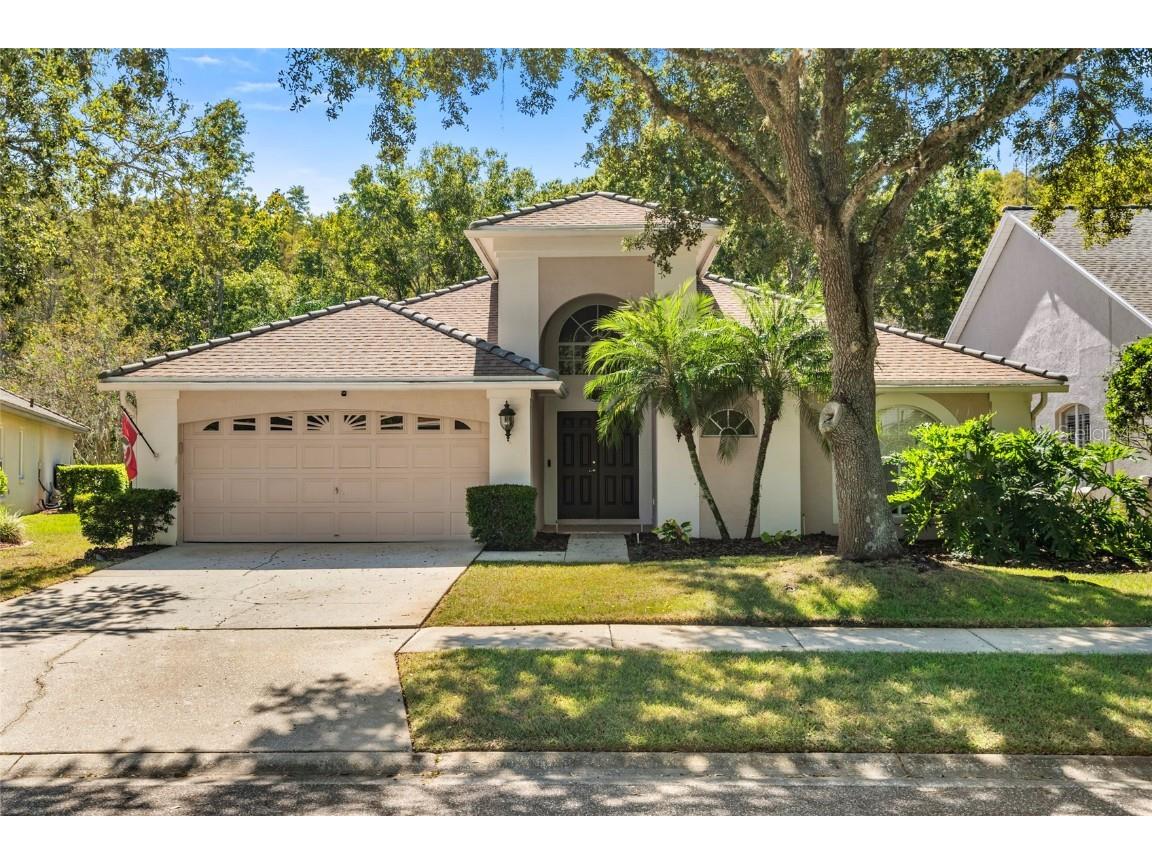5542 Avenue Du Soleil Lutz FL 33558 TB8426100 image1
