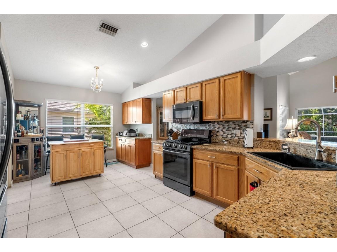 5542 Avenue Du Soleil Lutz FL 33558 TB8426100 image10