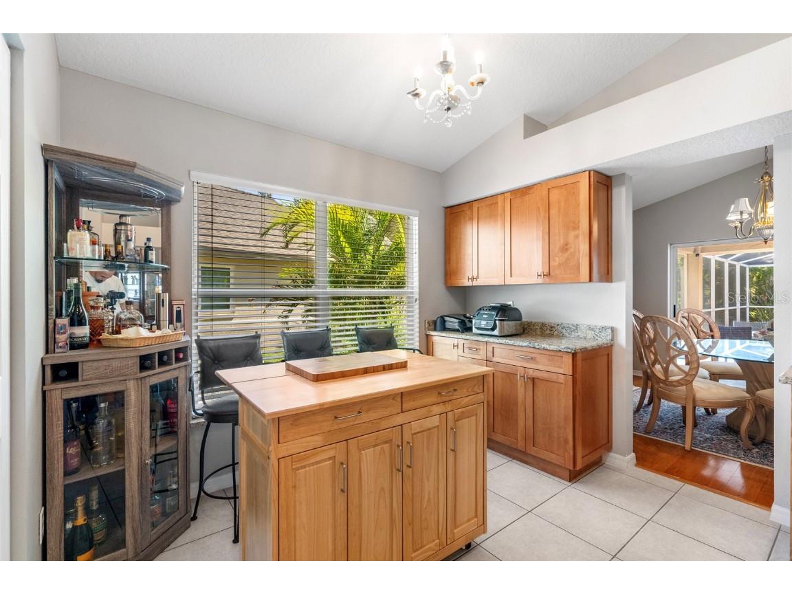 5542 Avenue Du Soleil Lutz FL 33558 TB8426100 image12