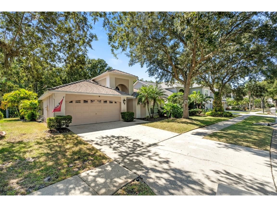5542 Avenue Du Soleil Lutz FL 33558 TB8426100 image2