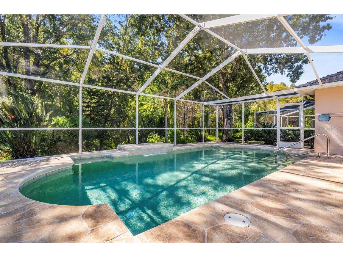 5542 Avenue Du Soleil Lutz FL 33558 TB8426100 image23