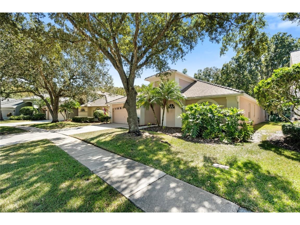 5542 Avenue Du Soleil Lutz FL 33558 TB8426100 image3