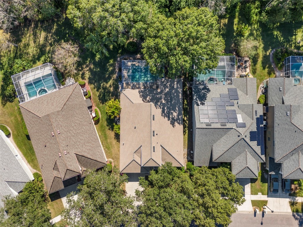 5542 Avenue Du Soleil Lutz FL 33558 TB8426100 image30
