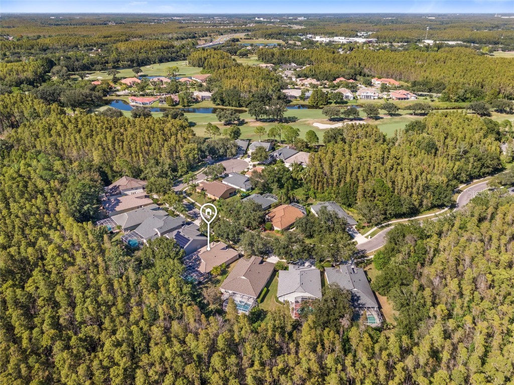 5542 Avenue Du Soleil Lutz FL 33558 TB8426100 image31