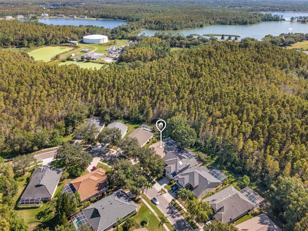 5542 Avenue Du Soleil Lutz FL 33558 TB8426100 image32